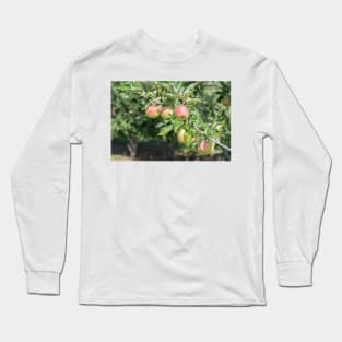 Okanagan Valley Apples and Summer Sunshine Long Sleeve T-Shirt